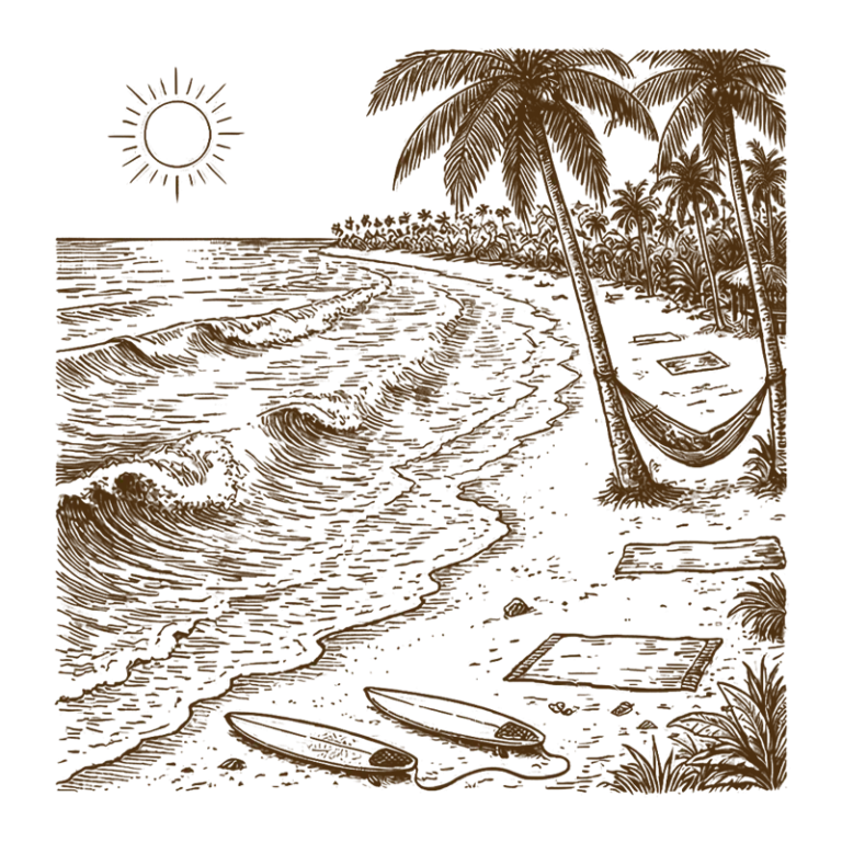 illustrated representation of Surf & Beach Life